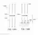 Fig. 76 - Light-emitting devices for liquid crystal displays