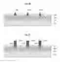 Fig. 06 - Epitaxial structures and methods of forming the same