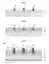 Fig. 08 - Epitaxial structures and methods of forming the same