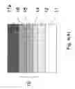 Fig. 05 - Organic EL element with multi-step partition wall