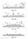Fig. 08 - LED package structure for increasing light-emitting efficiency and controlling light-projecting angle and method for manufacturing the same