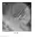 Fig. 06 - NANOCRYSTAL-BASED OPTOELECTRONIC DEVICE AND METHOD OF FABRICATING THE SAME