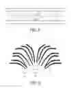 Fig. 04 - Lighting system
