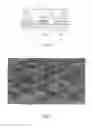 Fig. 02 - LED DIE STRUCTURE AND METHOD FOR MANUFACTURING THE BOTTOM TERMINAL THEREOF