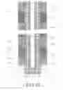 Fig. 16 - Semiconductor memory element and semiconductor memory device