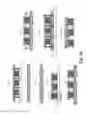 Fig. 07 - Apparatus for and methods of attaching heat slugs to package tops