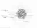 Fig. 01 - Encapsulated nanoparticles
