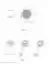 Fig. 02 - Encapsulated nanoparticles