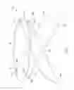 Fig. 19 - Infant support structure with supported seat