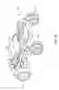 Fig. 19 - Mounting system and method of installing a child support accessory on a stroller frame