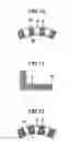 Fig. 05 - Magnetic Shield for Stator Core End Structures of Electric Rotating Machine