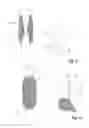 Fig. 06 - Permanent magnet, and method for manufacturing a permanent magnet