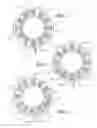 Fig. 03 - Parallel wound stator