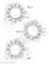 Fig. 04 - Parallel wound stator