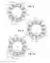 Fig. 05 - Parallel wound stator