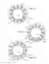 Fig. 06 - Parallel wound stator