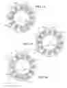 Fig. 07 - Parallel wound stator