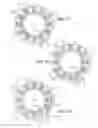 Fig. 08 - Parallel wound stator