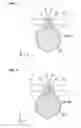 Fig. 04 - Motor device, method of manufacturing motor device, and robot device