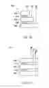 Fig. 43 - Image display device and light emission device