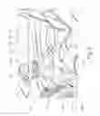 Fig. 07 - Lighting system arranged in vehicle door