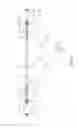 Fig. 02 - Changeable LED finials