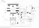Fig. 01 - Pierce gun and method of controlling thereof