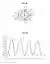 Fig. 07 - THE DETECTION OF DEPOSITS COMPRISING AT LEAST ONE FERROMAGNETIC MATERIAL ON OR CLOSE TO THE EXTERNAL WALL OF A TUBE