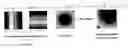 Fig. 01 - O-space imaging: highly efficient parallel imaging using complementary nonlinear encoding gradient fields and receive coil geometries