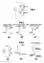 Fig. 03 - Tool for imaging a downhole environment