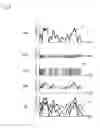 Fig. 08 - Power amplifying devices