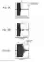 Fig. 06 - Vehicle-use object detection apparatus