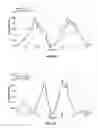 Fig. 10 - Method for low sidelobe operation of a phased array antenna having failed antenna elements