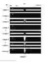 Fig. 07 - Interactive input system and information input method therefor