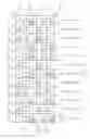 Fig. 11 - Display panel having sub-pixels with polarity arrangment