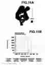 Fig. 09 - Virtual endoscopic image generated using an opacity curve