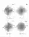 Fig. 07 - Stereoscopic liquid crystal shutter glasses and stereoscopic image display system