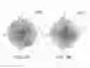 Fig. 08 - Stereoscopic liquid crystal shutter glasses and stereoscopic image display system