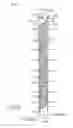Fig. 03 - Liquid ejecting apparatus