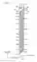 Fig. 09 - Liquid ejecting apparatus