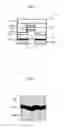 Fig. 06 - OPTICAL HEAD AND IMAGE FORMING APPARATUS