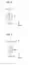 Fig. 04 - Optical head and electronic device