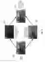 Fig. 06 - Synthesizing Panoramic Three-Dimensional Images