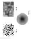 Fig. 03 - Method and apparatus for generating texture in a three-dimensional scene
