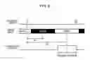 Fig. 09 - Calibration device, image display system and shutter glasses