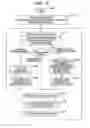 Fig. 08 - IMAGE TAKING SYSTEM