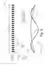 Fig. 09 - Time interleaved exposures and multiplexed illumination