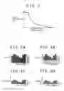 Fig. 03 - Solid-state image capturing device including a photochromic film having a variable light transmittance, and electronic device including the solid-state image capturing device