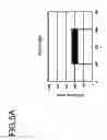 Fig. 06 - IMAGE PROCESSING APPARATUS
