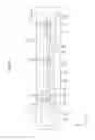 Fig. 07 - LIGHTING DEVICE, DISPLAY DEVICE AND TELEVISION RECEIVER
